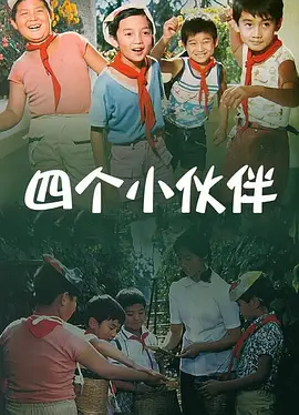 张津瑜在线